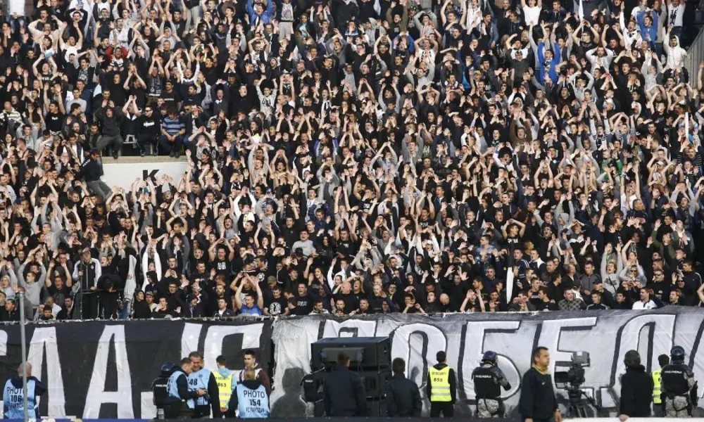 Partizan Bělehrad, fanoušci